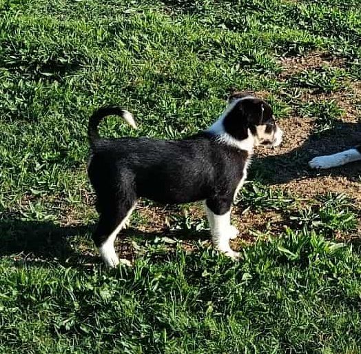 Argi Du mont kerchouan